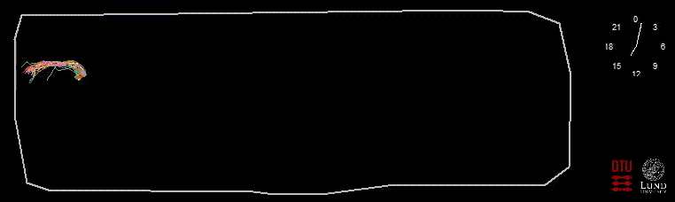 Example of high-resolution tracking of roach in an iPond