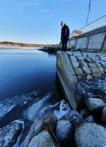 Effects of storm surge barriers on fish migration (DK)