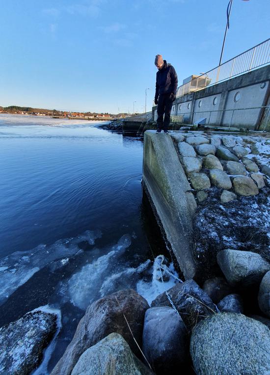Effects of storm surge barriers on fish migration (DK)